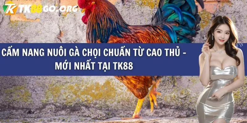Tải xuống các máy đánh bạc trực tuyến được xếp hạng Mobi66 - Mobi66
